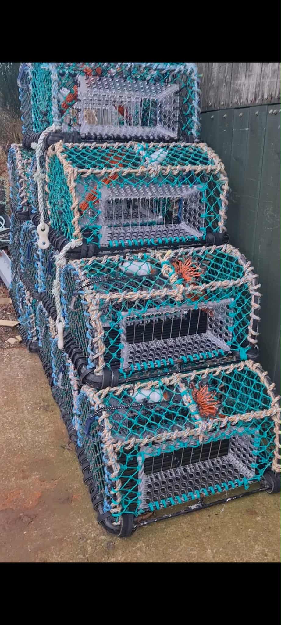 IMG 20250925 112830 19