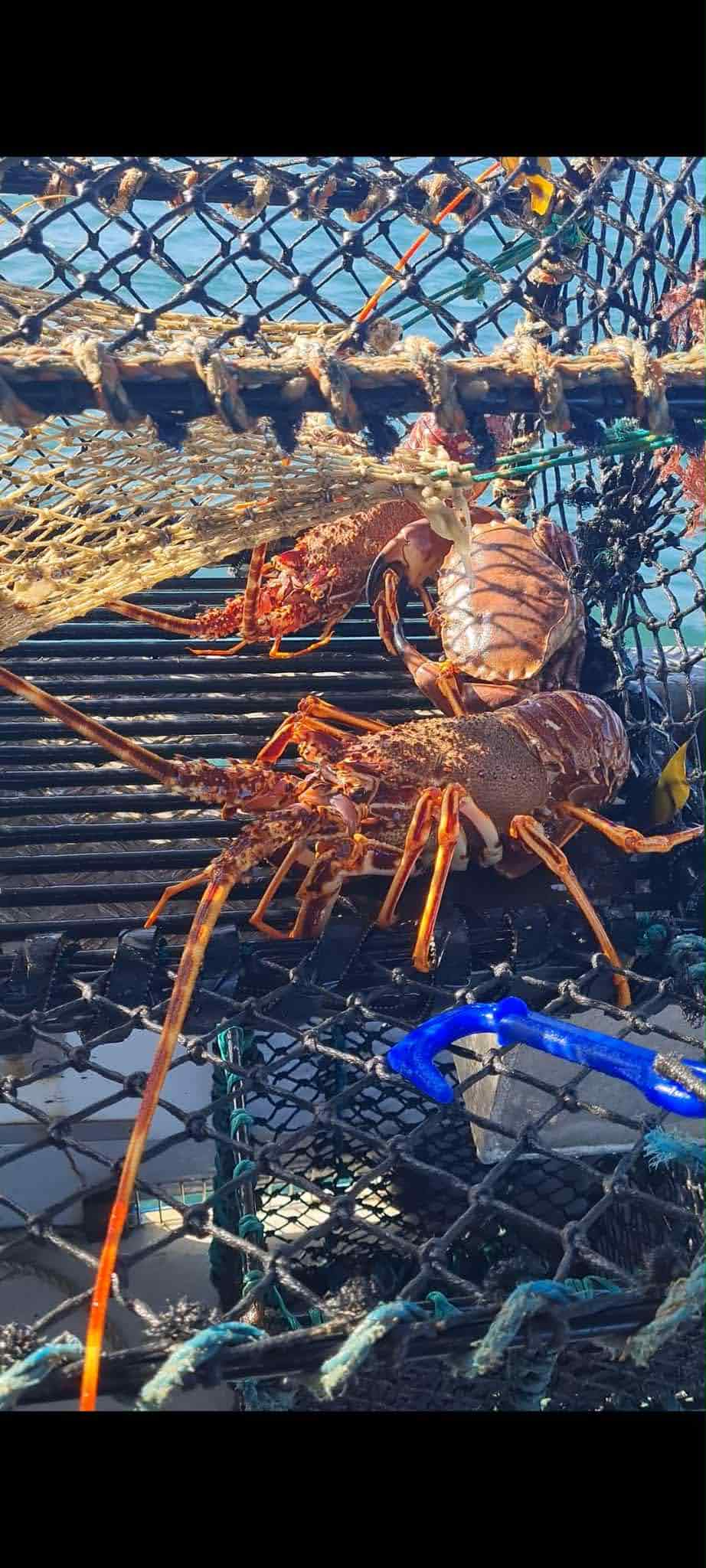 IMG 20250929 065724 504